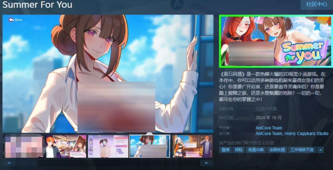 Summer For You Ver3.0 Steam官方中文版 [更新/750.3M]  [PC游戏]  